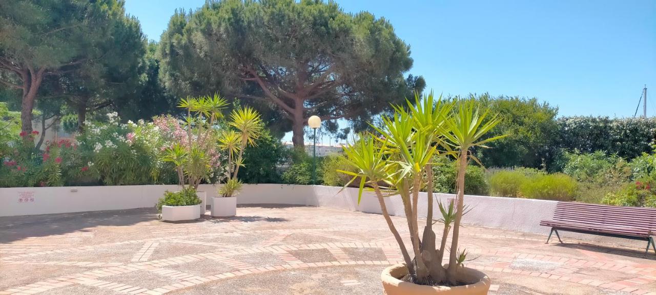 Studio Cap D'Agde La Grande Voile Kültér fotó